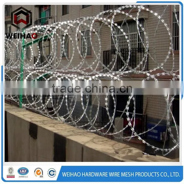 WEIHAO Hot Selling Standard Flat Wrap and Concertina Coil Razor Wire photo-3
