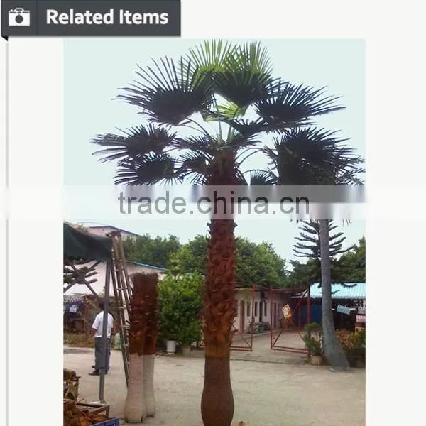 Hot Selling Big Tree for Sale for Decorative Iron Palm Tree photo-5