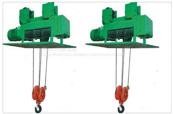 Metallurgy Electric Wire Hoist for Special Crane photo-5