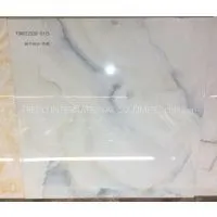 Ceramic Tiles for Floor and Wall