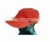 Hemp Baseball Hat