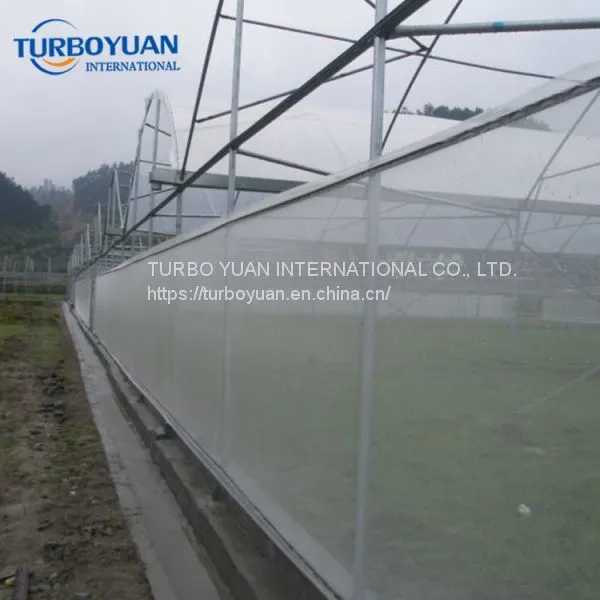 HDPE Anti Insect Mesh / Fiberglass Insect Screen in China photo-3