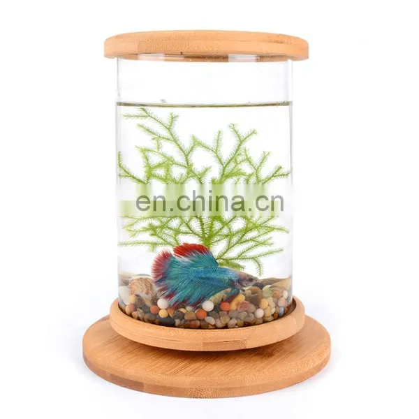 Desktop Eco Bottle Creative Office Tempered Glass Micro Landscape Tank Rotating Bedroom Fish Tank Fish Tank Mini Small