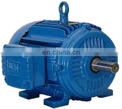 Motor Electrico High Efficiency IE1 IE2 IE3 WEG SIEMENS ABB Motors photo-2