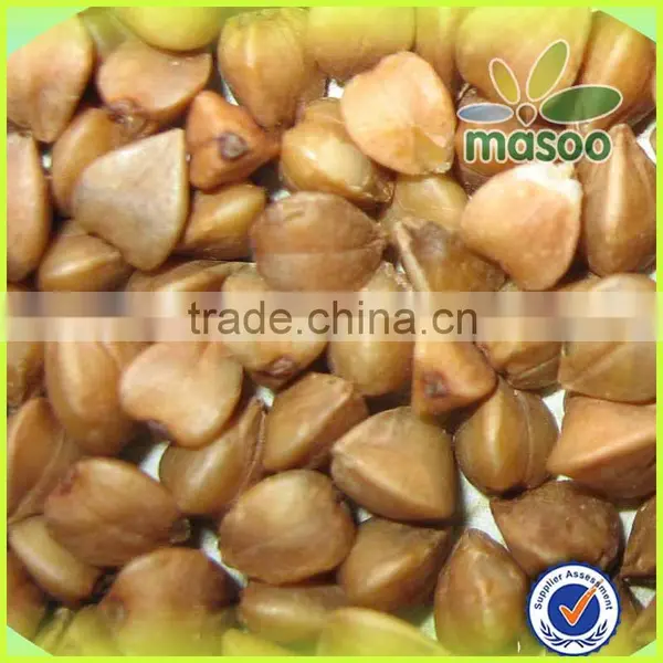 2014 Crop Certified Organic Roasted Buckwheat Quality Choice photo-2
