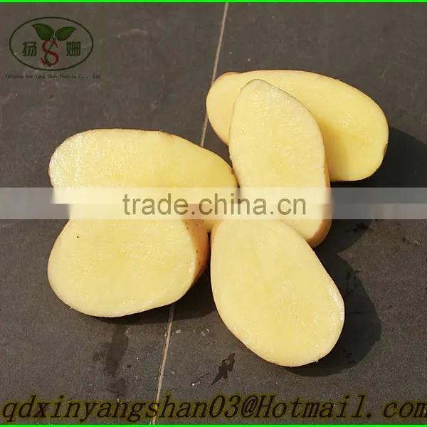 NEW : Fruit Fresh Fuji Apple/Fresh Apples photo-5