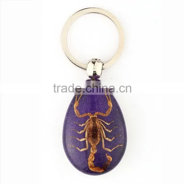 Real Insect Keychain With Scorpion