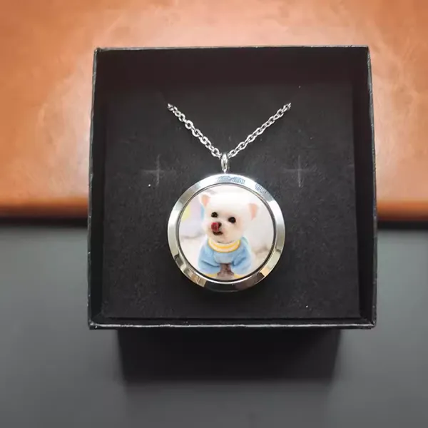 Custom Engraved Pet ID Pendant Necklace in Hypoallergenic Titanium