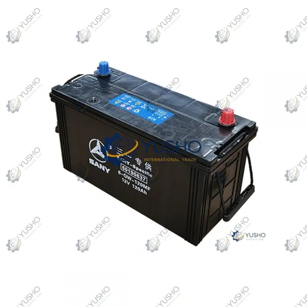 Spare Part 60190637 for SANY Excavator Genuine OEM photo-2