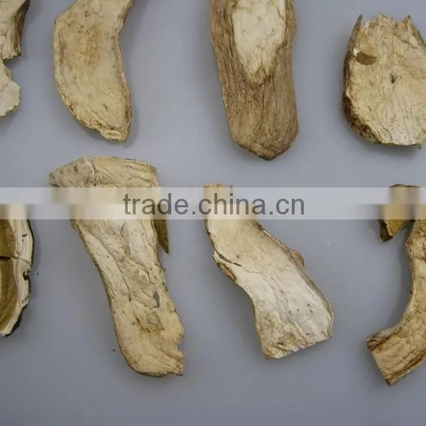 Dried Boletus Edulis Mushroom Seller photo-2