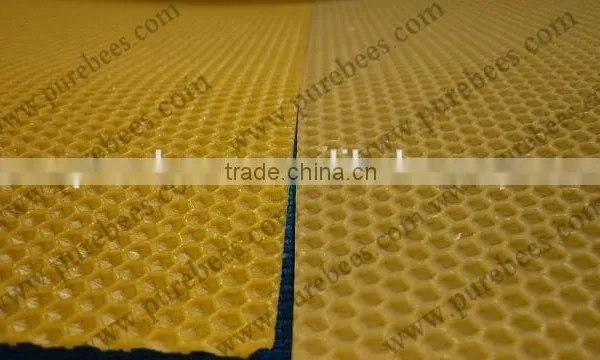 Purebees Beekeeping Equipment Apis Mellifera Beeswax Foundation Sheet photo-2