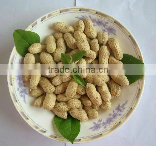 Chinese New Crop Row Peanuts in Shell