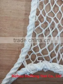 Scaffold Safety Net