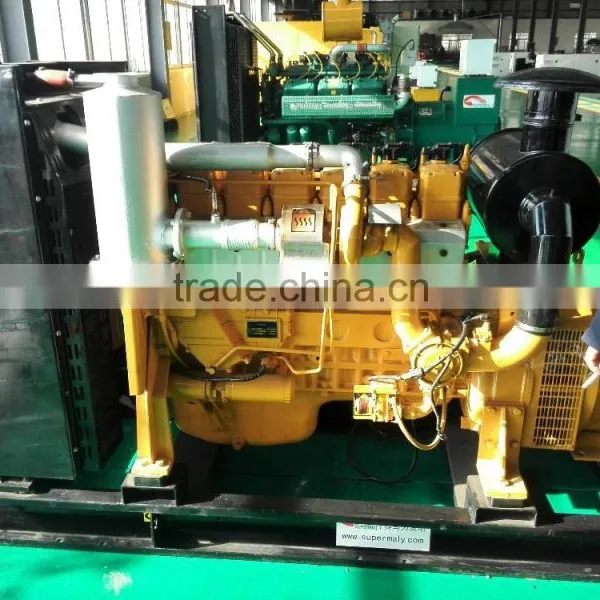 250kva Natural Gas Generator by Reliable Chinese Gas Engine photo-2