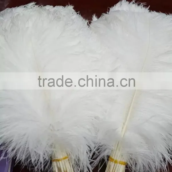 Artificial Ostrich Feathers Wholesale Ostrich Feathers