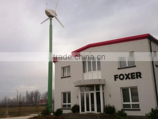 5kw Garden Windmill Metal Windmill Garden Decoration Wind Turbine System photo-2