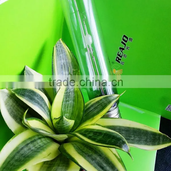 Horticulture Factory Hot Sale Plant Growth 315W CMH Bulbs photo-4