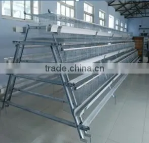 Poultry Cage/poultry Equipment photo-2
