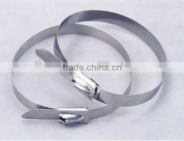 Stainless Steel Cable Ties,