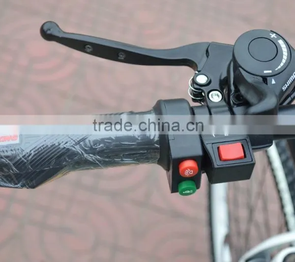 26 " Bike 48V Lithium Electric Bike photo-3