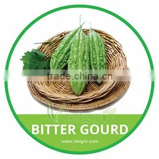 HIGH QUALITY FRESH BITTER GOURD