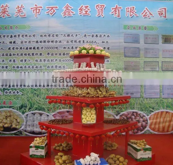 China Fresh Vegetable and Fruits Supplier