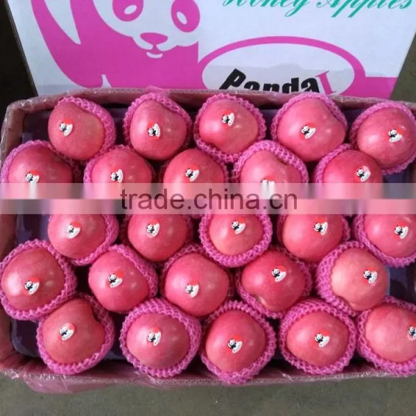 Fuji Apples Wholesale Fruit Prices
