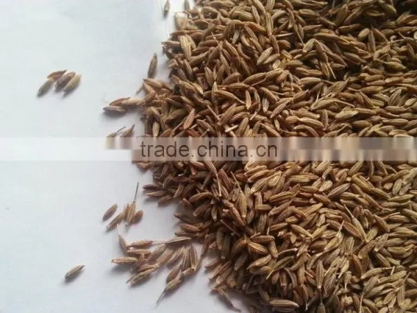 Cumin Seed