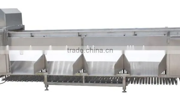 OG-606 CE Qualified Vegetable and Fruit Sorting Machine photo-4