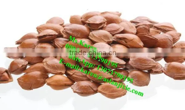 Almond Shell Removal Machine /almond Sheller/almond Shelling Machine photo-6