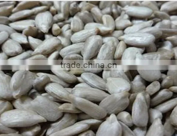 A Sunflower Kernels/yellow Sunflower Kernels for Export