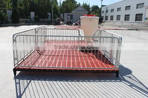 Poultry Feed Processing Equipment Stainless Steel Pigs Stall Nursery Crates photo-3