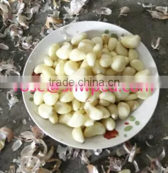 Stainless Steel Mini Garlic Peeler Machine/automatic Storing Garlic Peeling Machine photo-5