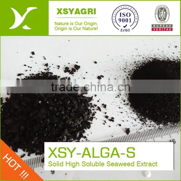 XSYAGRI Seaweed Extract Organic Fertilizer Flake/Powder