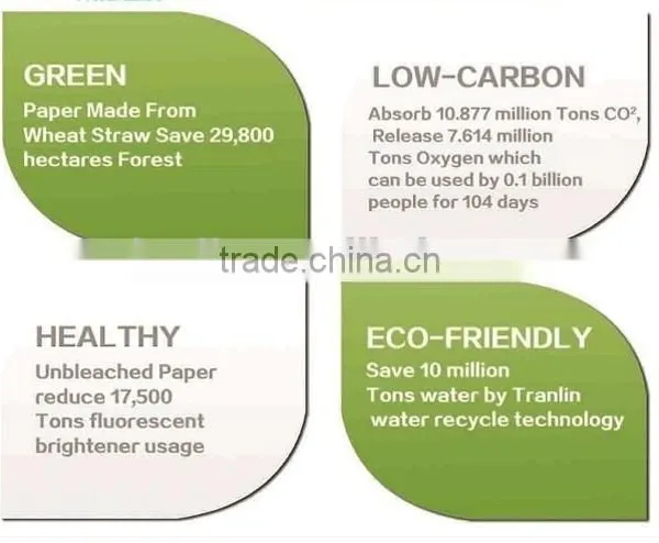 Tranlin Nonwoven Tree Free Unbleached Paper Hand Towel photo-5