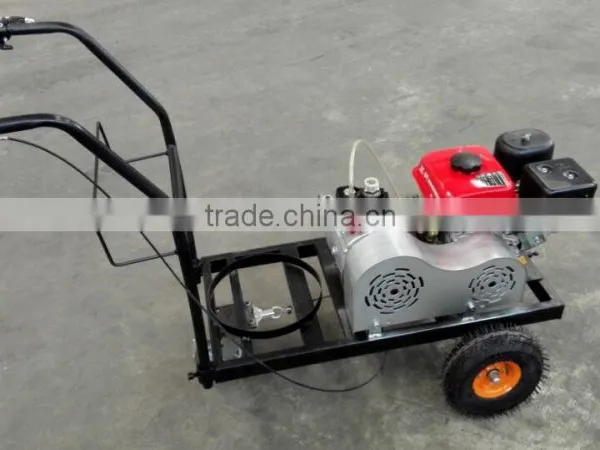 Road Painting Machine Made in China photo-4