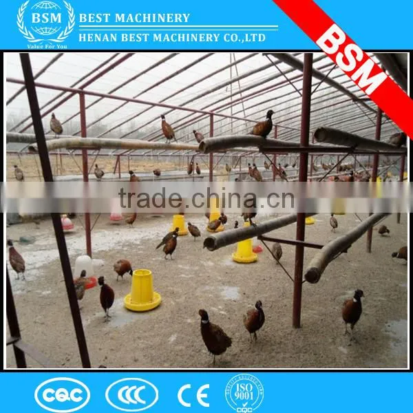 Plastic Automatic Chicken Waterer Feeder/feeders for Chicken/chicken Feeders and Drinkers photo-2