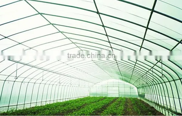 Light Trap for Greenhouse photo-2