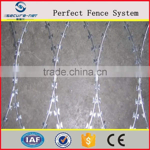 ISO9001 Galvanized Razor MeshRazor Barbed Wireconcertina Razor Wire photo-3