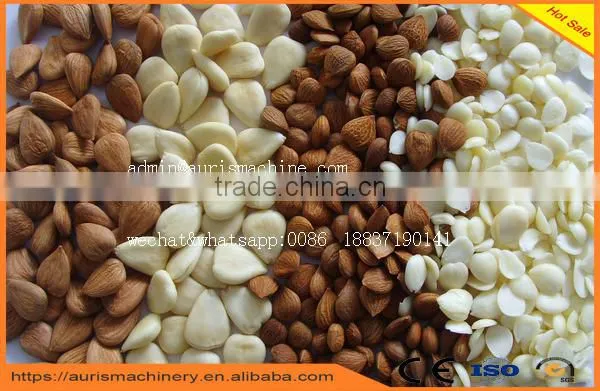 2016 Hot Sale Almond Apricot Sheller Shelling Cracking Machine on Sale photo-6