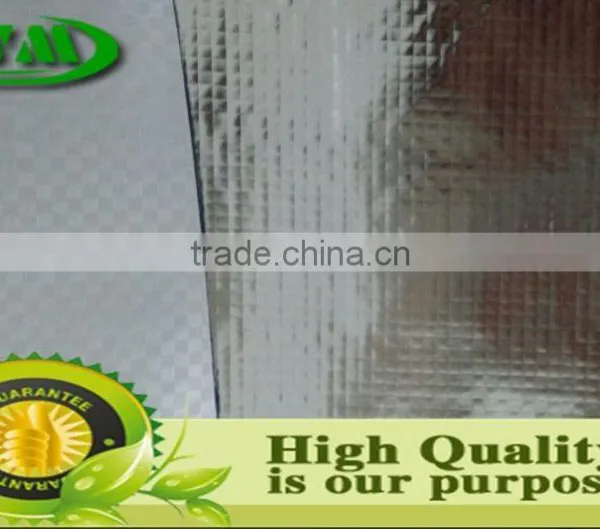 High Quality Low Emittance of Reflective Insulation Material Wholeseller photo-3