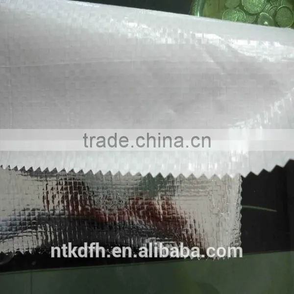 Moisture Vapour Barrier PE Film photo-3