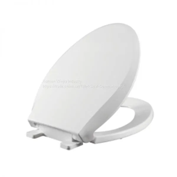 The Toilet Lid Thickens and the Toilet Seat Covers the Old Toilet Lid photo-5
