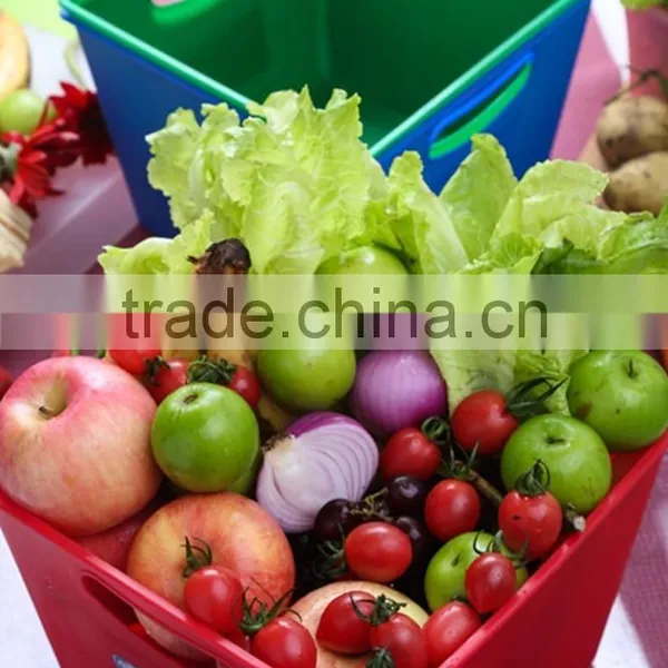 Wholesale Square Plastic Storage Basket With Handle/ Sundries Storage Basket With Handle photo-5