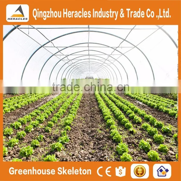 Heracles Trade Assurance Factory Price Agricultural Greenhouse photo-2