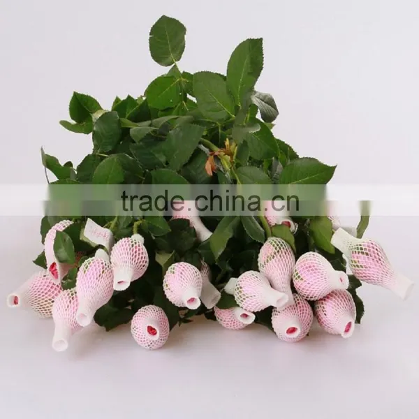 Cheap Wholesale Natural Fresh Cut Rose Flower Sweet Pink 20Stems/Bundle Export Flower Wholesale From China photo-3