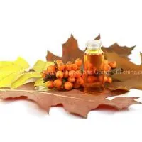 100% Pure Seabuckthorn Seed Oil