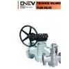 Pressure Balanced Plug Valve