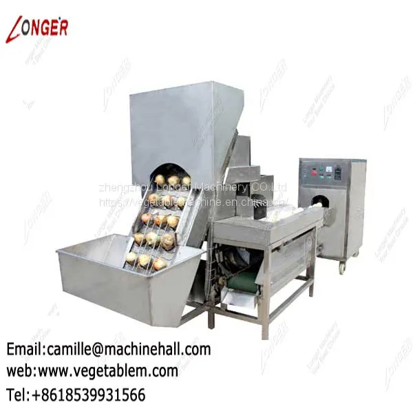 Onion Processing Machine Line|Onion Peeling and Root Cutting Plant|Onion Skin Remover Low Price photo-2