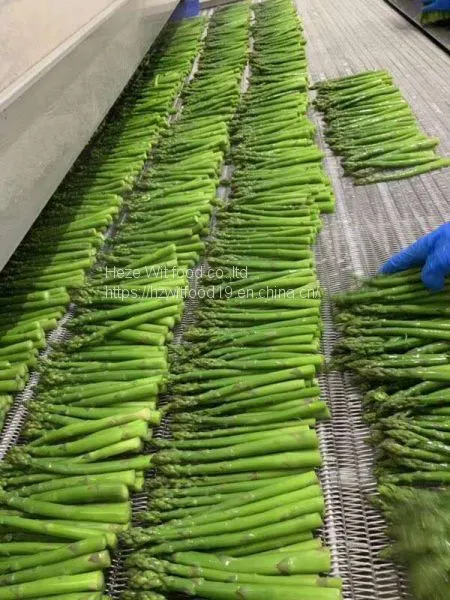 IQF Green Asparagus